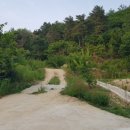 드림농장 이미지