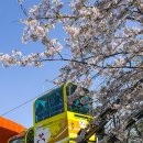 제황산모노레일 이미지