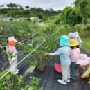 운산농원 이미지