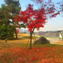라움아동발달연구소