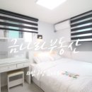 금나라공인중개사사무소 이미지