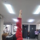 용인대 마루한 태권도 이미지