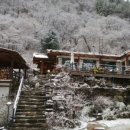 금대민박 이미지