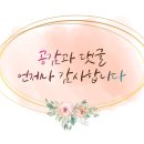 토핑스온패티스 이미지
