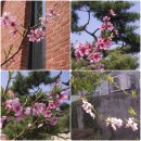 논산 부창동 성당 이미지