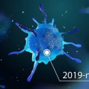 베스트 의료기 이미지