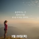 3월 28일(목)아침을 여는 건강한 에코힐링(글 전체보기는 글주소 클릭!) 이미지