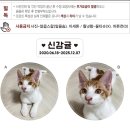 포포즈 반려동물 장례식장 경기광주점 이미지