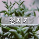 청지기 한자 뜻과 해명 이미지