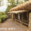 초목 이미지