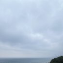 파나크 오퍼레이티드 바이 소노 이미지