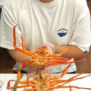 대게좋은집 붉은대게 무한리필 | 대구 홍게 맛집 게부자 붉은대게 무한리필