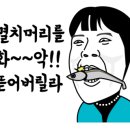 탁팍 네이버블로그