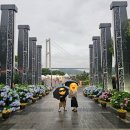 하모니카(야간) | 장생포수국축제 우산 쓰고 걷는 수국길