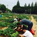 이영미농장 이미지