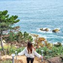 동해해맞이공원 화장실 | 영덕 해맞이공원 블루로드 바다 여행 가볼만한곳 추천