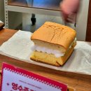 솔라리움 | 부천 빵집 맛집 추천 진심카스테라 후기