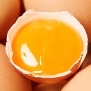 산지로 | 산지톡 난각번호1번 계란 공구하고 후회한 후기