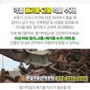 대한카독크 이미지