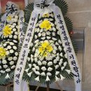 프리덤라이프