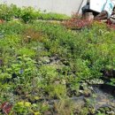 두륜산농장 이미지