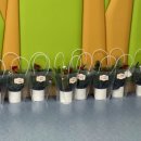 플로리스트&생활원예 | 수원 곡반정동 플라워 클래스 출강 전문, 아이들의 손끝에서 완성된 작은 크리스마스 - ♡