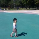 부평공원 Daum카페
