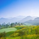 대식당(마에스트로) | 울창한 수림과 계곡이 있는 천혜 자연 골프장~ 후기가 좋은 마에스트로cc