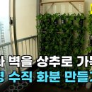 별별채소