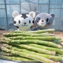 강원특판 이미지