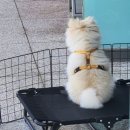 삼영세차장 이미지