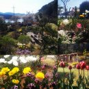 정들고펜션 이미지