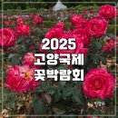 꽃강아지 | 2025 고양국제꽃박람회 주차장 입장료 할인 강아지 후기