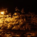 장안면사무소 이미지