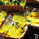 STEADY(스테디) 이미지