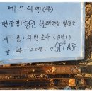 성호 태양광발전소 Daum카페