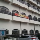 농협수안보 이미지