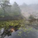 ◎ 지리산 세석평전 비처(祕處)에 숨겨진 &#34;청학연못&#34; 찾아서 이미지