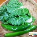 공성상가 이미지