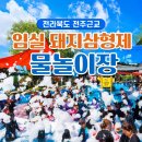 신덕평로 | 전라북도 전주 근교 임실 돼지삼형제 물놀이장 평상대여/ 물놀이준비물/내돈내산