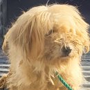 화수1리 경로당 이미지