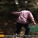 도화정 이미지