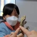 우리 전래놀이 세계 전래놀이 이미지