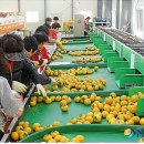 남밀양농협 초동지점 이미지