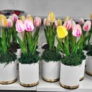 군산진포중학교 이미지