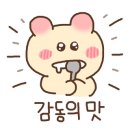 이담리 이미지
