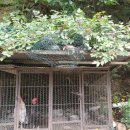 영숙농산물 이미지