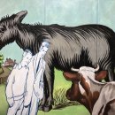 대전유아사 이미지