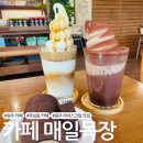삼성목장 | [원주 카페] 무실동 아이와 함께 가기 좋은 카페 카페 매일목장