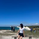 세븐피시 이미지